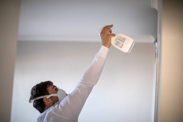 Best Toxic Mold Removal  in Milaca, MN