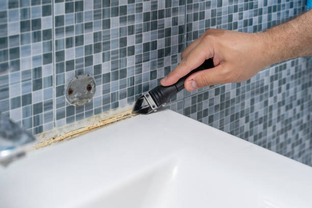 Best Commercial Mold Removal  in Milaca, MN